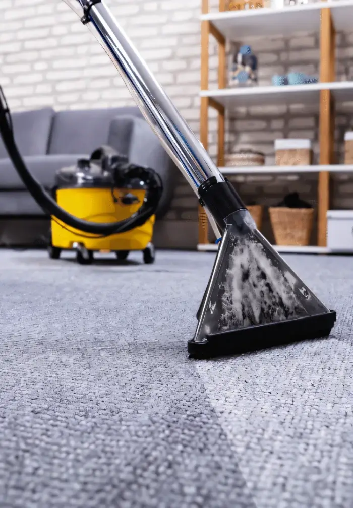Vacuum Cleaned Carpet Image