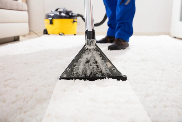 Vacuum Cleaned Carpet Image