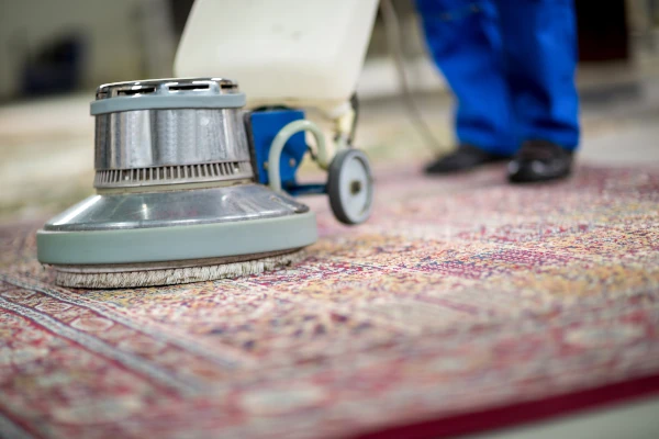 Rug cleaning process image