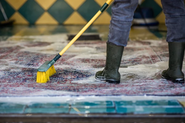 Rug being scrubbed image
